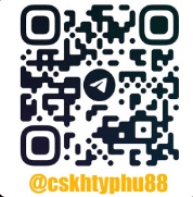 cskh typhu88